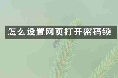 怎么设置网页打开密码锁