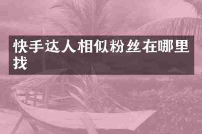 快手达人相似粉丝在哪里找
