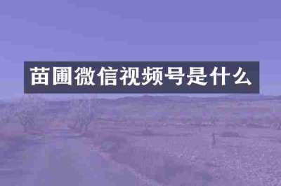 苗圃微信视频号是什么