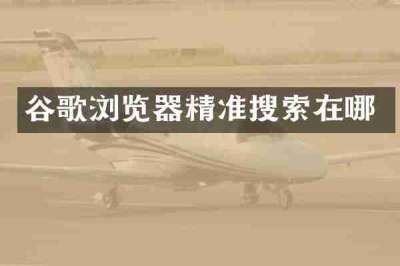 谷歌浏览器精准搜索在哪