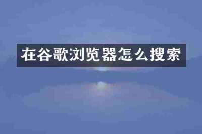 在谷歌浏览器怎么搜索
