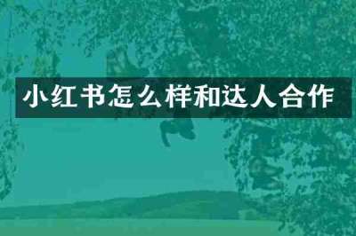 小红书怎么样和达人合作