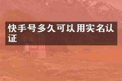 快手号多久可以用实名认证