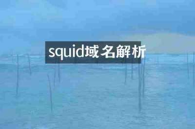 squid域名解析