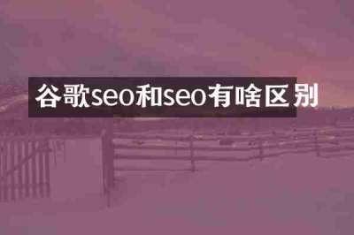 谷歌seo和seo有啥区别
