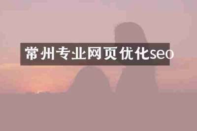 常州专业网页优化seo