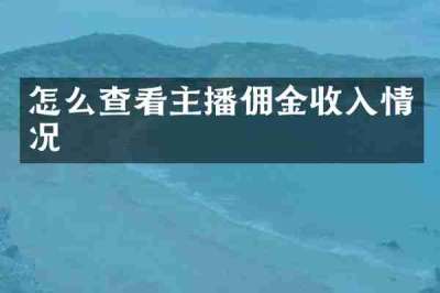 怎么查看主播佣金收入情况