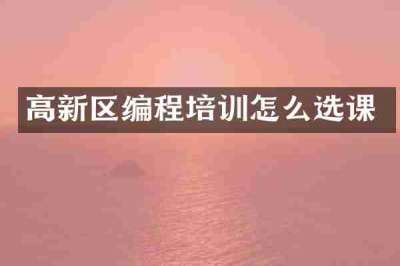 高新区编程培训怎么选课