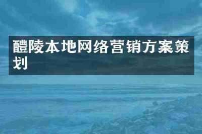醴陵本地网络营销方案策划