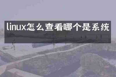 linux怎么查看哪个是系统盘