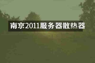 南京2011服务器散热器