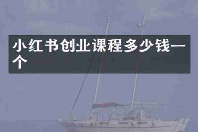 小红书创业课程多少钱一个