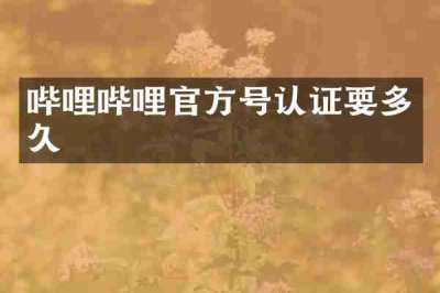 哔哩哔哩官方号认证要多久