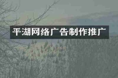 平湖网络广告制作推广