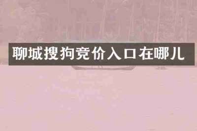 聊城搜狗竞价入口在哪儿