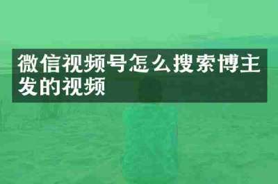 微信视频号怎么搜索博主发的视频