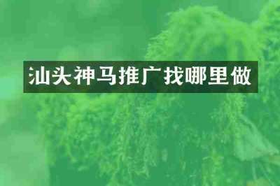 汕头神马推广找哪里做