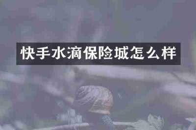 快手水滴保险城怎么样