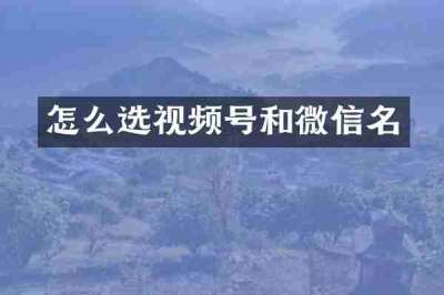 怎么选视频号和微信名