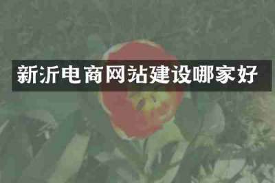 新沂电商网站建设哪家好