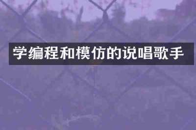 学编程和模仿的说唱歌手