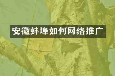 安徽蚌埠如何网络推广