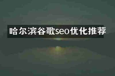 哈尔滨谷歌seo优化推荐