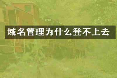 域名管理为什么登不上去