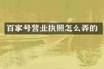百家号营业执照怎么弄的