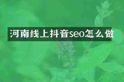 河南线上抖音seo怎么做