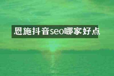 恩施抖音seo哪家好点
