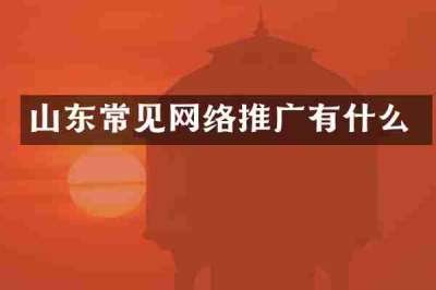 山东常见网络推广有什么
