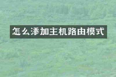怎么添加主机路由模式