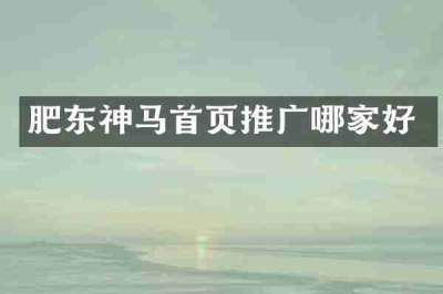 肥东神马首页推广哪家好