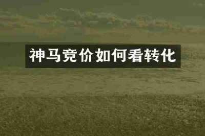 神马竞价如何看转化