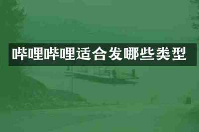 哔哩哔哩适合发哪些类型