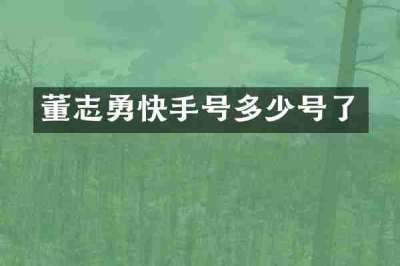 董志勇快手号多少号了