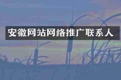 安徽网站网络推广联系人