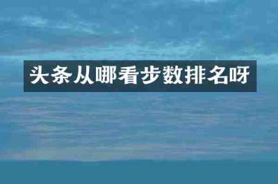 头条从哪看步数排名呀
