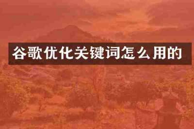 谷歌优化关键词怎么用的