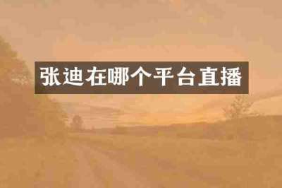 张迪在哪个平台直播