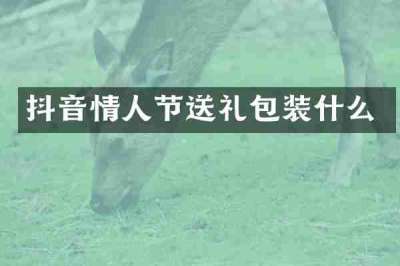 抖音情人节送礼包装什么