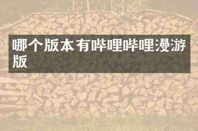 哪个版本有哔哩哔哩漫游版
