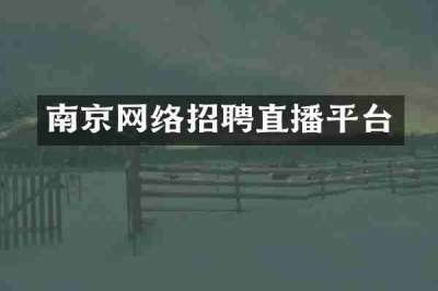 南京网络招聘直播平台