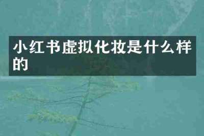小红书虚拟化妆是什么样的