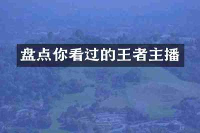 盘点你看过的王者主播