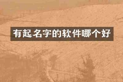 有起名字的软件哪个好