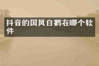 抖音的国风白鹤在哪个软件