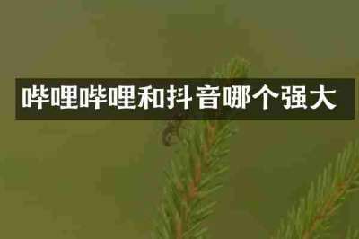 哔哩哔哩和抖音哪个强大