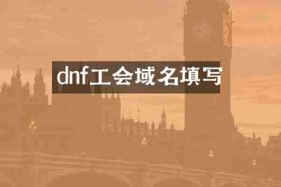dnf工会域名填写